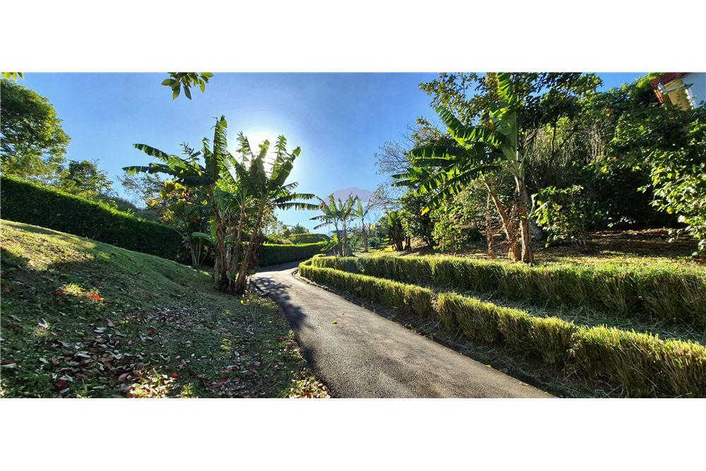 Residential - Villa - Atenas, Alajuela- Atenas, Costa Rica - Caribbean & Central Ameri - 32 - 90128007-197