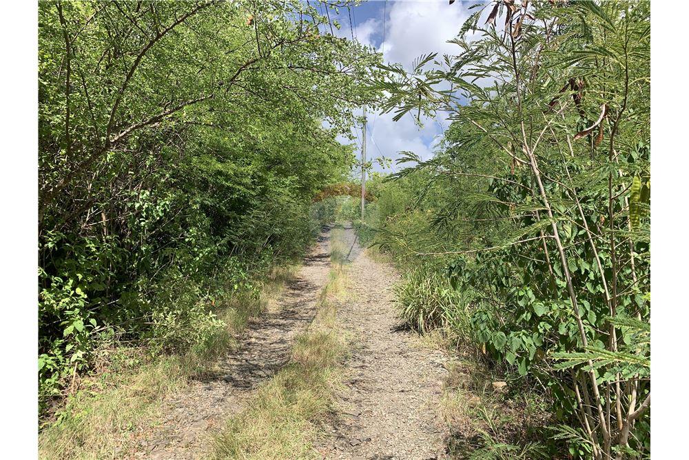 Lote - Venta - Gros Islet, Gros-Islet, St Lucia - 3 - 902071001-213