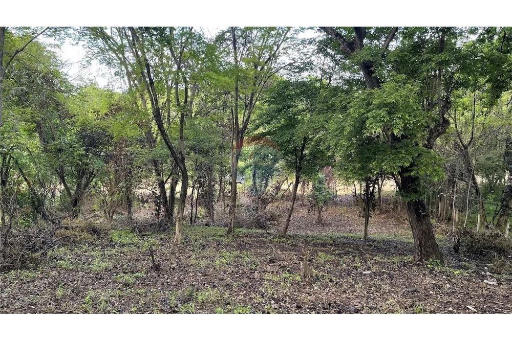 Commercial - Land - San Juan del Sur, Rivas, Nicaragua - Caribbean & Central Ameri - 7 - 90119008-110