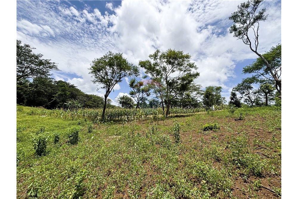 Land - For Sale - Dolores, Carazo, Nicaragua - 3 - 902521001-24