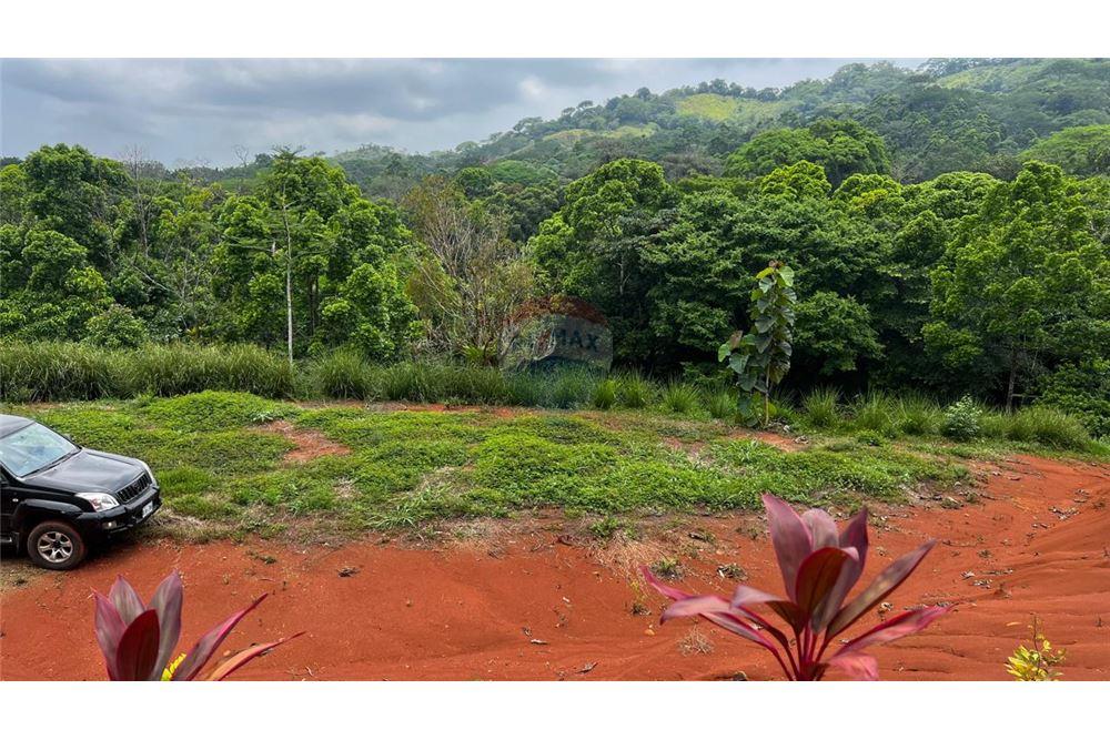 Commercial - Land - Bijagual, Puntarenas, Costa Rica - Caribbean & Central Ameri - 11 - 90168042-14