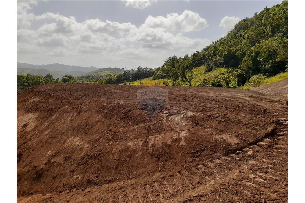 Land - For Sale - Barranquitas, Barranquitas, Puerto Rico - 7 - 90102087-2