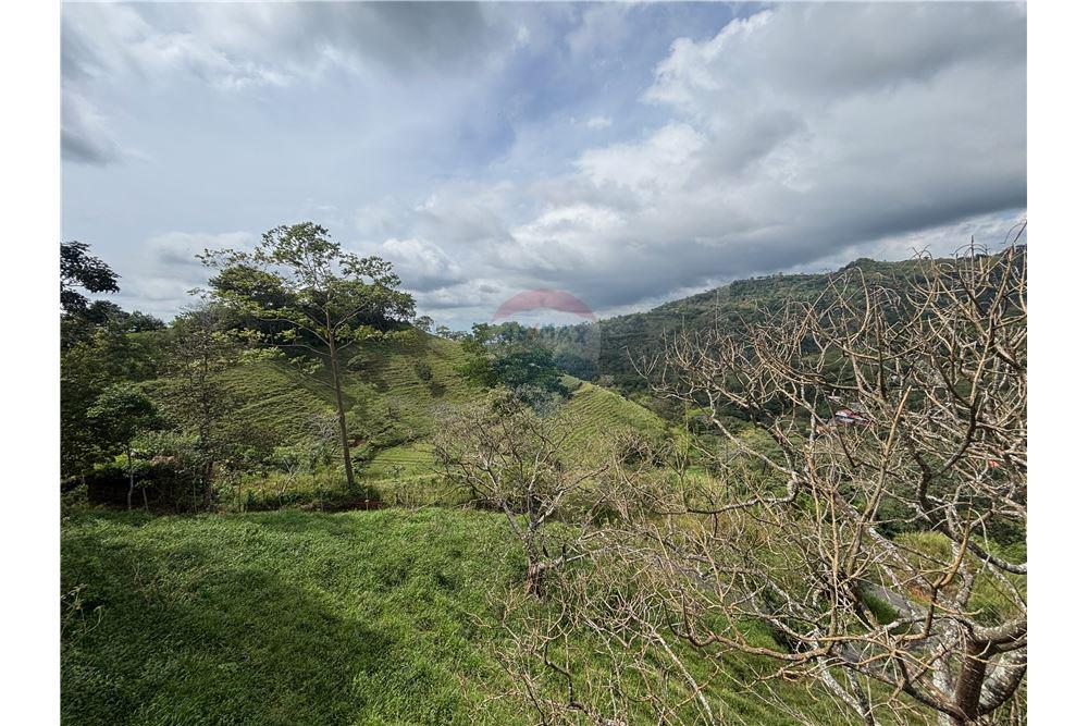 Residenziale - Villa - Atenas, Alajuela- Atenas, Costa Rica - Caribbean & Central Ameri - 8 - 90128002-997