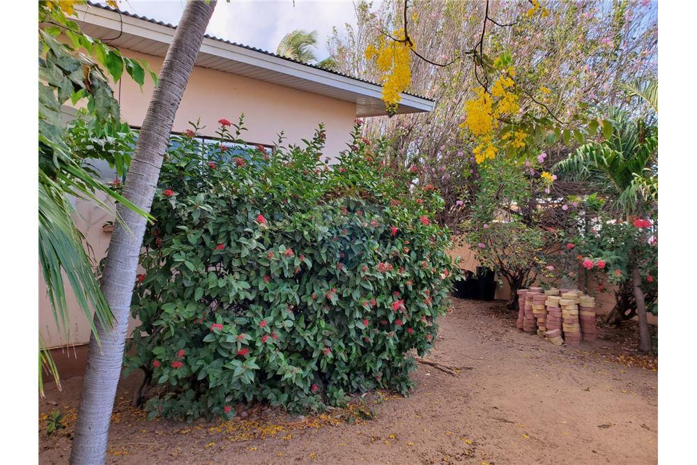 Villa - For Sale - Oranjestad, Aruba, Aruba - 56182 - 90105035-31