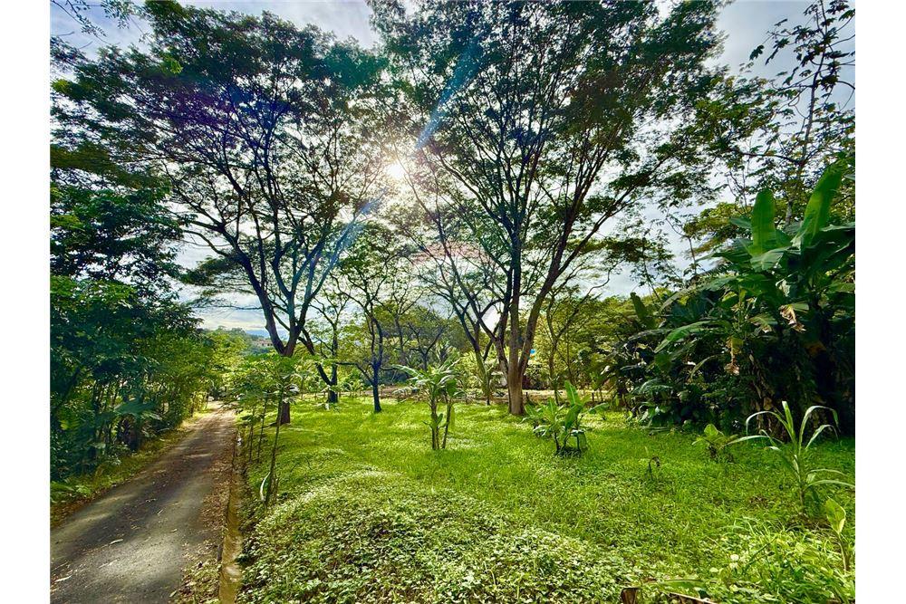 Commercial - Land - Jaco - Jaco, Puntarenas- Garabito, Costa Rica - Caribbean & Central Ameri - 3 - 90168015-205