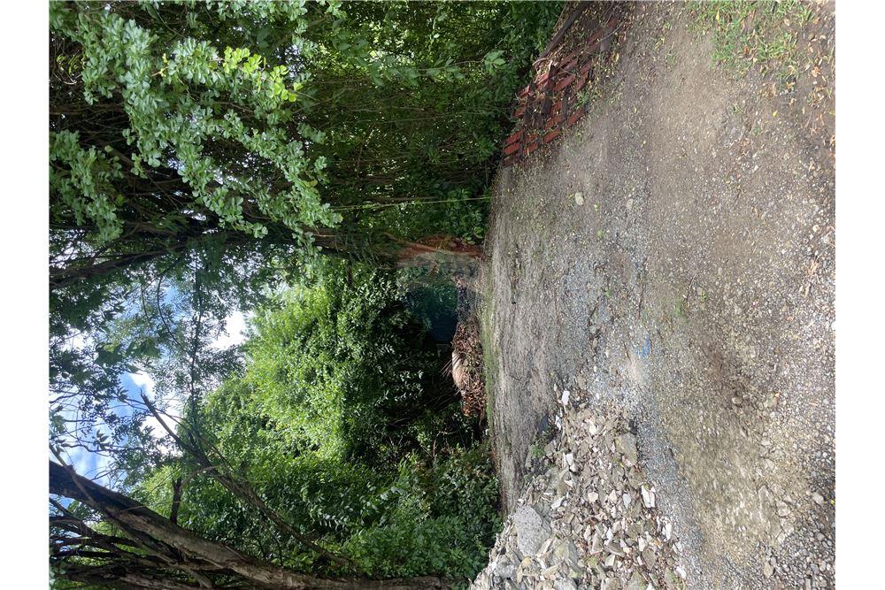 Commercial - Land - Marisule Estate, Gros-Islet, St Lucia - Caribbean & Central Ameri - 4 - 902071001-207