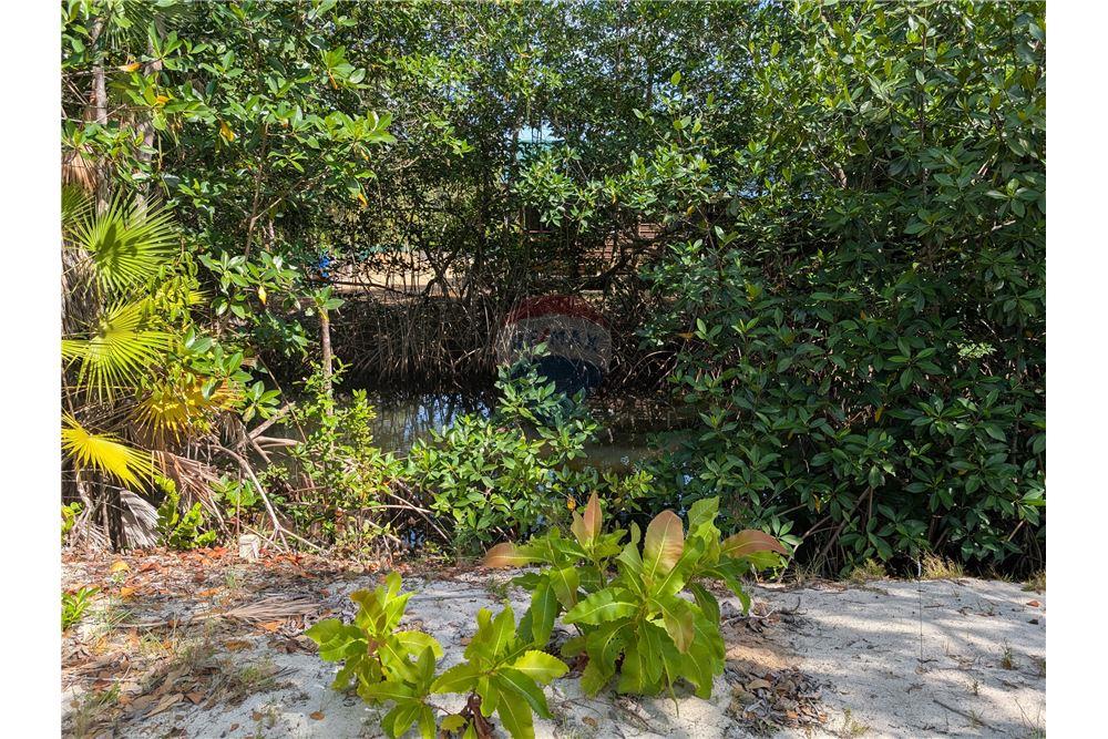 Commercial - Land - Maya Beach, Stann Creek District, Belize - Caribbean & Central Ameri - 5 - 90127016-282