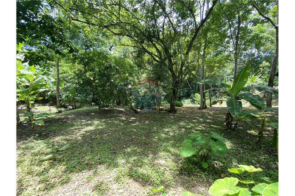 Villa - Te Koop - Manzanillo, Puntarenas - Puntarenas, Costa Rica - 20 - 90110006-43