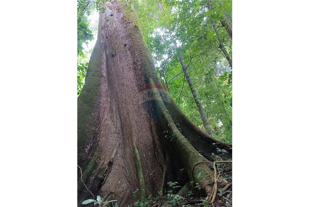 Lote - Venta - Puntarenas, Puntarenas - Puntarenas, Costa Rica - 5 - 902211014-15