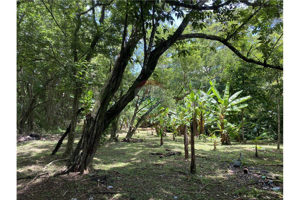 Villa - Te Koop - Manzanillo, Puntarenas - Puntarenas, Costa Rica - 15 - 90110006-43