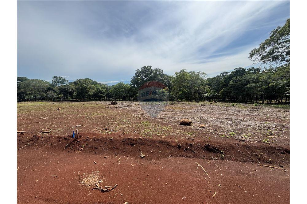 Grondstuk - Te Koop - Atenas, Alajuela- Atenas, Costa Rica - 26 - 90128002-974