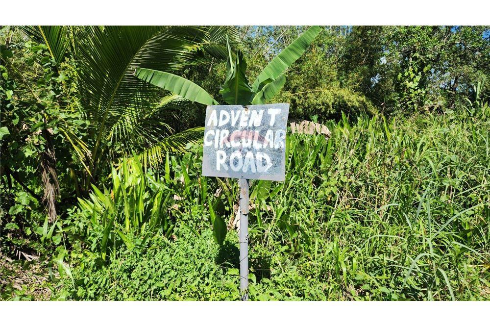 Land - For Sale - Matura, Saint Andrew, Trinidad and Tobago - 5 - 90155095-32
