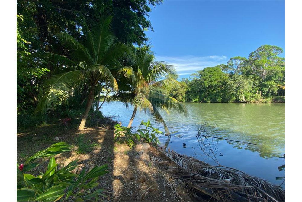 Commercial - Land - Hopkins, Stann Creek District, Belize - Caribbean & Central Ameri - 7 - 90127003-288