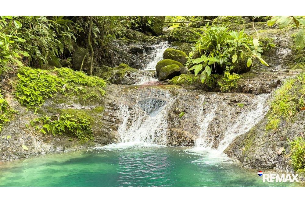 Comercial - Terreno - Parrita, Puntarenas - Parrita, Costa Rica - Caribbean & Central Ameri - 1 - 90168003-467