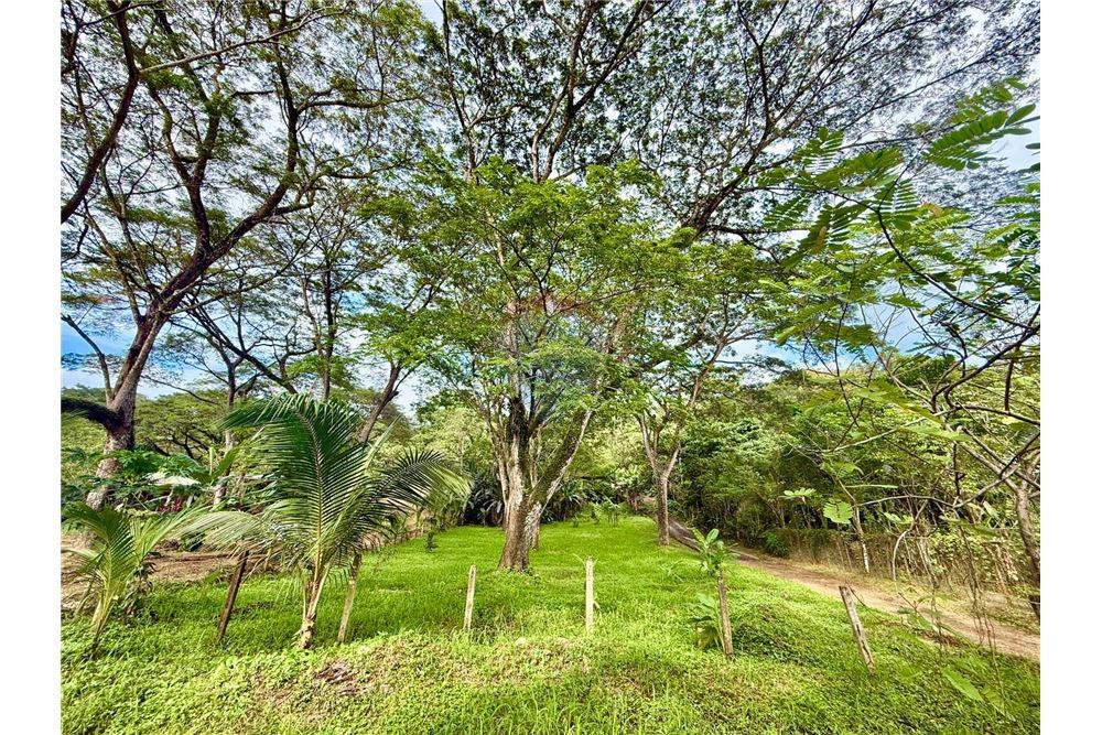 Comercial - Terreno - Jaco - Jaco, Puntarenas- Garabito, Costa Rica - Caribbean & Central Ameri - 9 - 90168015-207