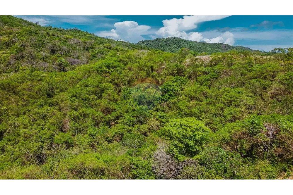 Commercial - Land - San Juan del Sur, Rivas, Nicaragua - Caribbean & Central Ameri - 7 - 90119008-113