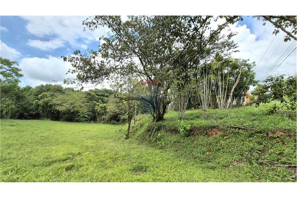 Comercial - Terreno - Atenas, Alajuela- Atenas, Costa Rica - Caribbean & Central Ameri - 4 - 90128007-195