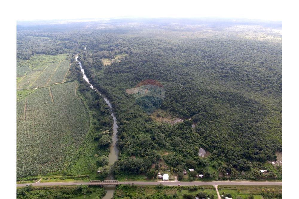 Comercial - Terrenos - Bella Vista, Toledo District, Belize - Caribbean & Central Ameri - 5 - 90127022-85