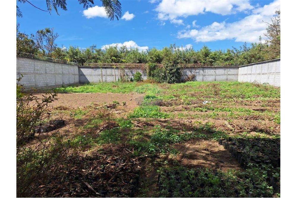 Land - For Sale - San Pedro Las Huertas, Sacatepéquez, Guatemala - 2 - 90129012-51