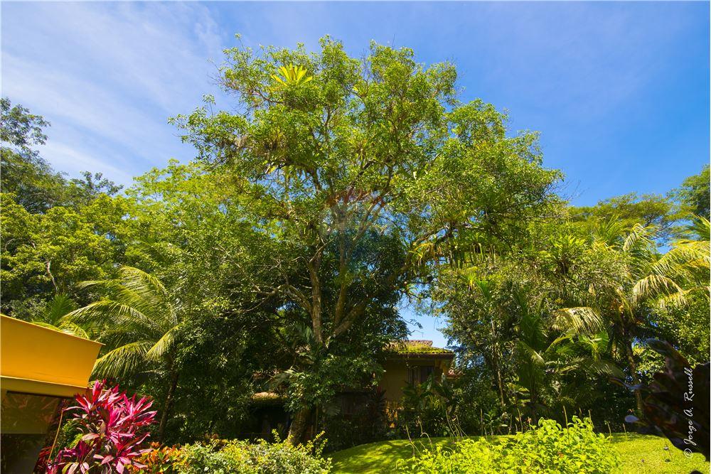 Résidentiel - Maison / Villa - Puntarenas, Puntarenas - Puntarenas, Costa Rica - Caribbean & Central Ameri - 27 - 90168011-791