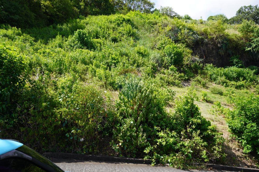 Commercial - Land - Arnos Vale, St Vincent, St Vincent and the Grenadines - Caribbean & Central Ameri - 7 - 90109001-327