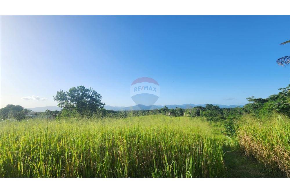 Land - For Sale - Las Lomas, Caroni, Trinidad and Tobago - 2 - 902551007-7