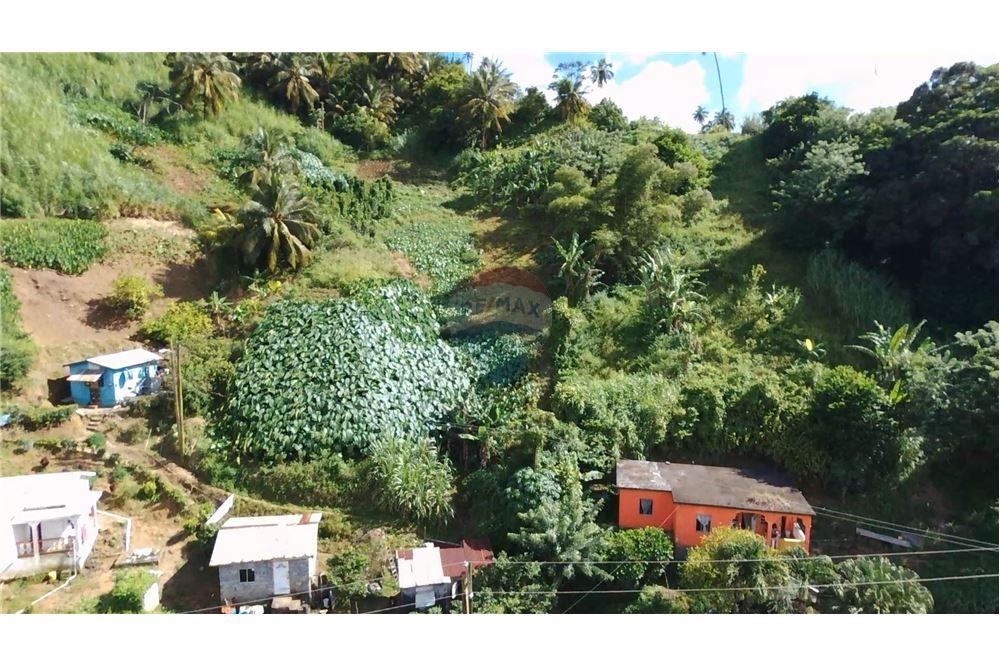 商业 - 土地 - Lowmans Windward, St Vincent, St Vincent and the Grenadines - Caribbean & Central Ameri - 12 - 90109001-320