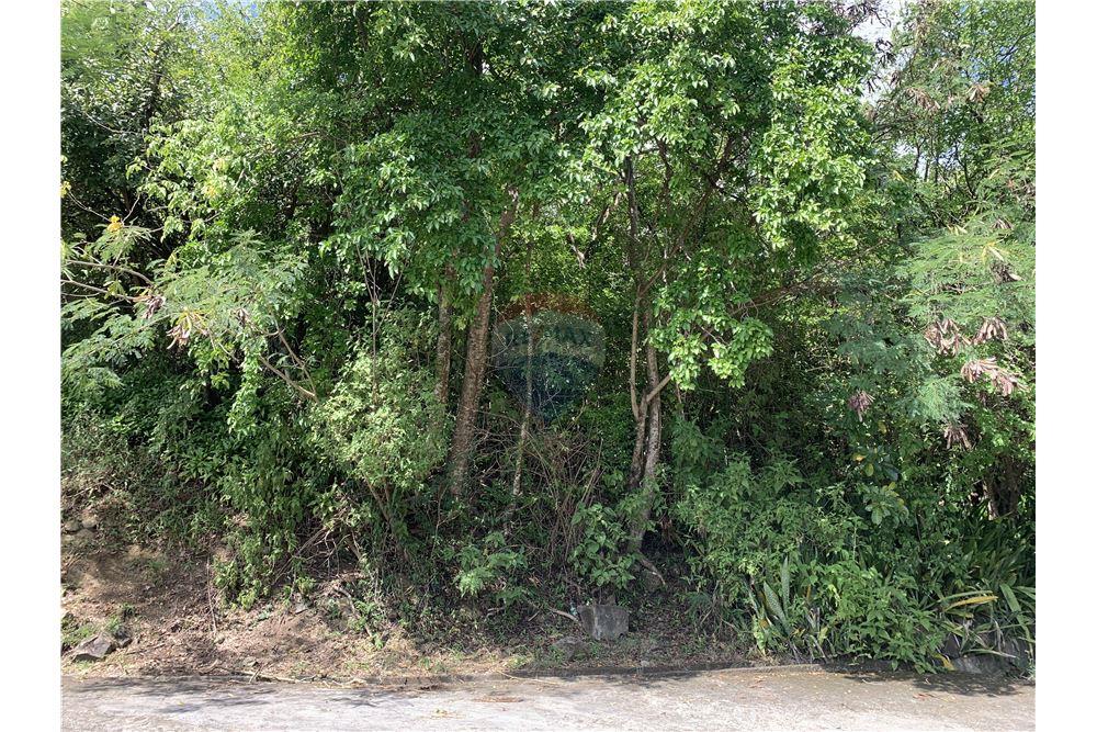 Lote - Venta - Gros Islet, Gros-Islet, St Lucia - 6 - 902071001-213