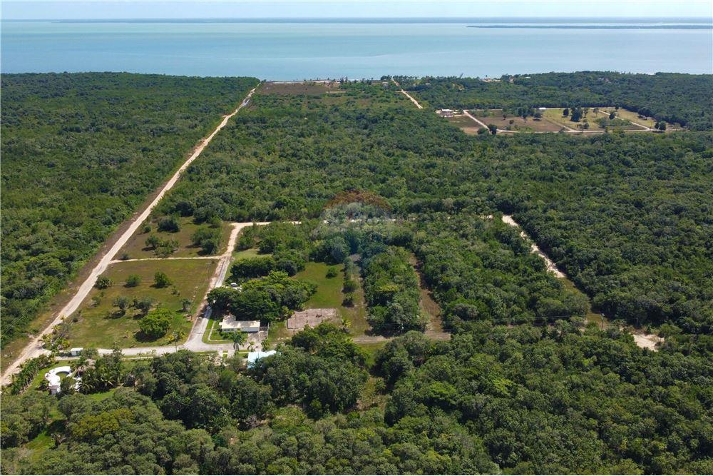 Surface commerciale - Autre terrain - Consejo, Corozal District, Belize - Caribbean & Central Ameri - 10 - 901411007-87