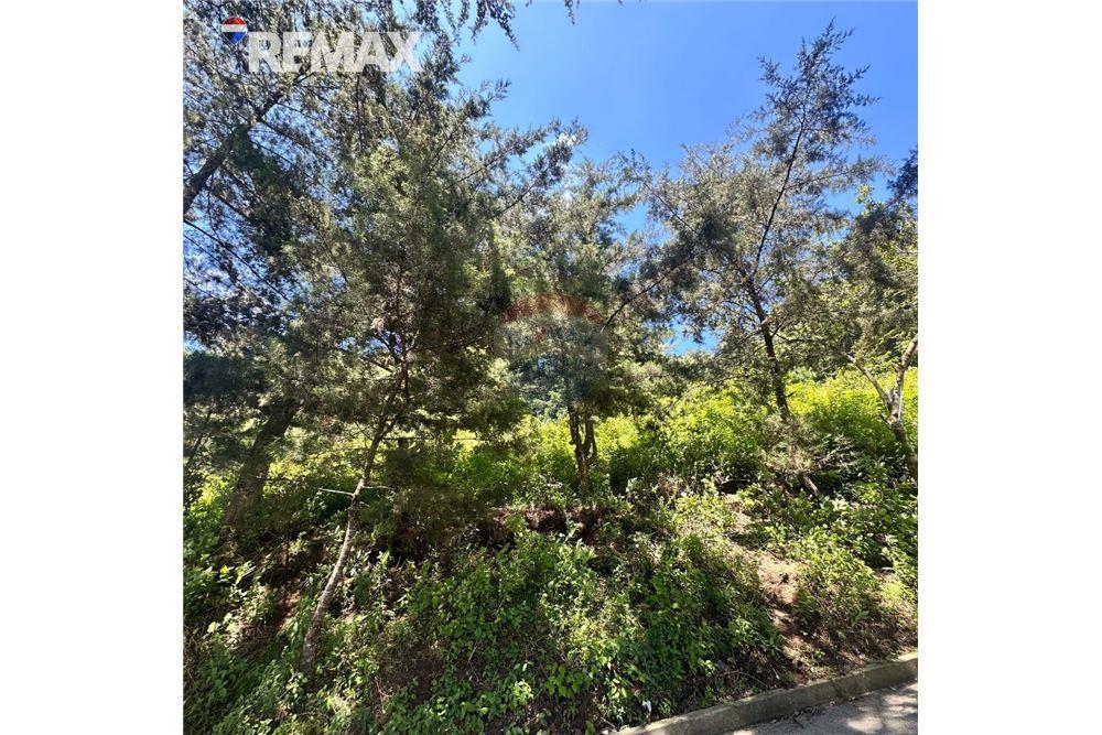 Lote - Venta - San José Pinula, Guatemala, Guatemala - 4 - 902611006-17