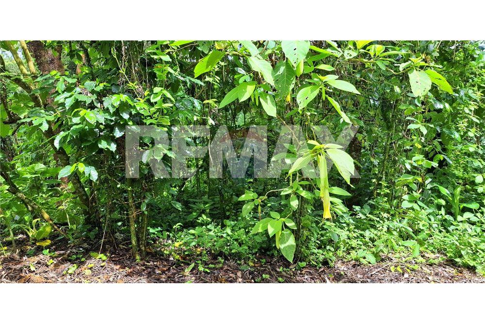 Grondstuk - Te Koop - Santa Elena Barillas, Guatemala, Guatemala - 9 - 902091017-26