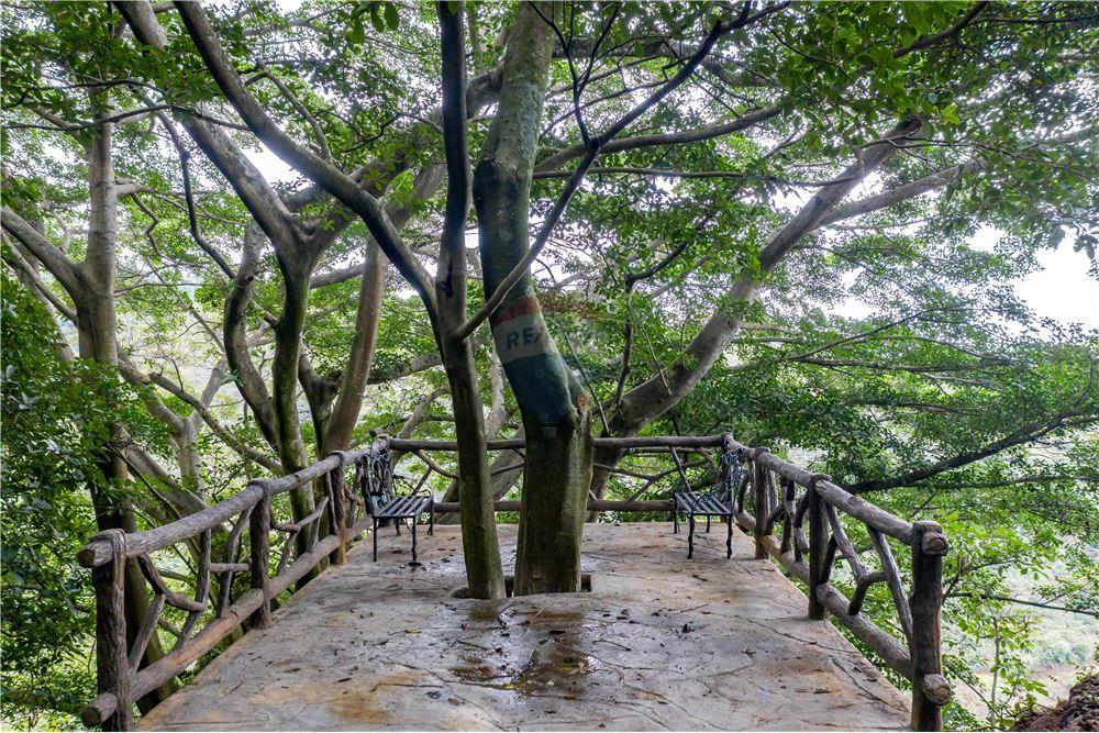 Residencial - Villa - Naranjo, Puntarenas, Costa Rica - Caribbean & Central Ameri - 30 - 90128002-988