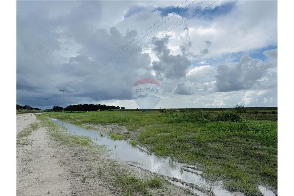 Commercial - Land - Libertad, Corozal District, Belize - Caribbean & Central Ameri - 13 - 901411007-98