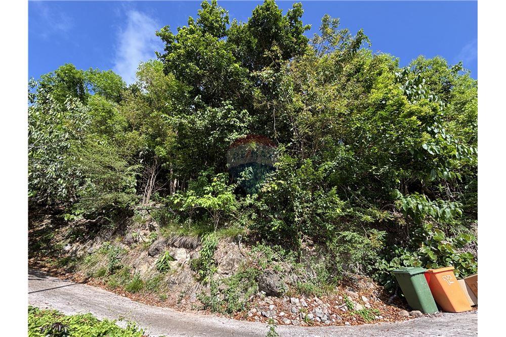 Land - For Sale - Windward Side, Saba, Saba - 3 - 90144016-29