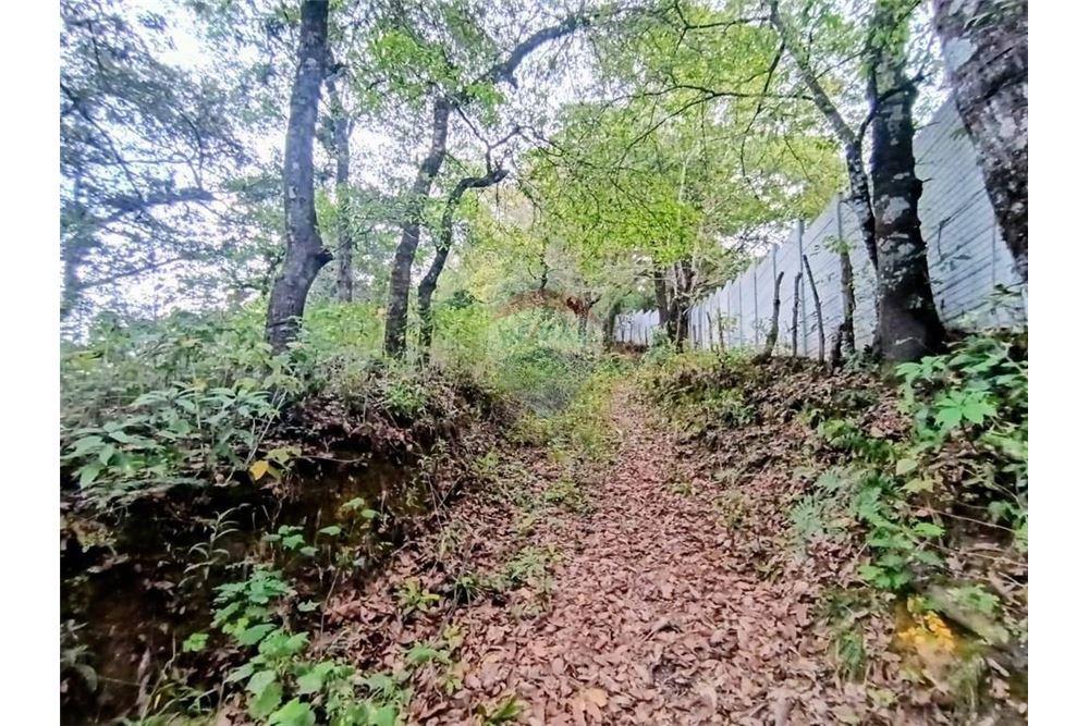 Lote - Venta - La Antigua Guatemala, Sacatepéquez, Guatemala - 1 - 90129016-50