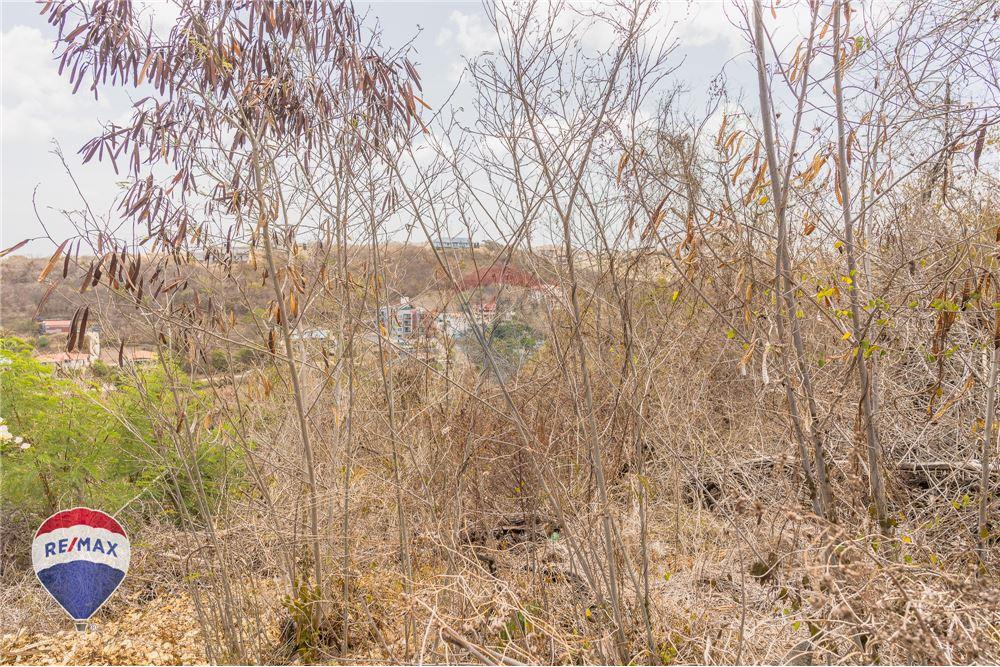 Land - For Sale - Lance aux Epines, Saint George, Grenada - 11 - 902581001-102