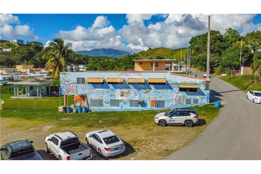 Commercial - Sale of Business - Naguabo, Naguabo, Puerto Rico - Caribbean & Central Ameri - 20 - 902461010-13
