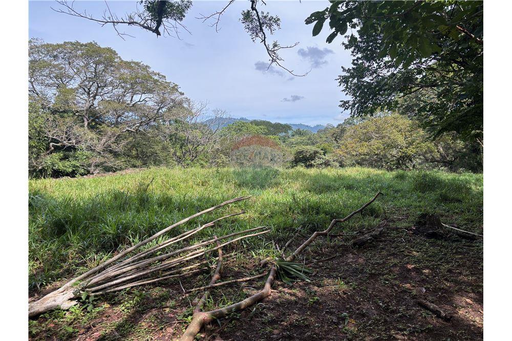 Grondstuk - Te Koop - Atenas, Alajuela- Atenas, Costa Rica - 11 - 90128002-974