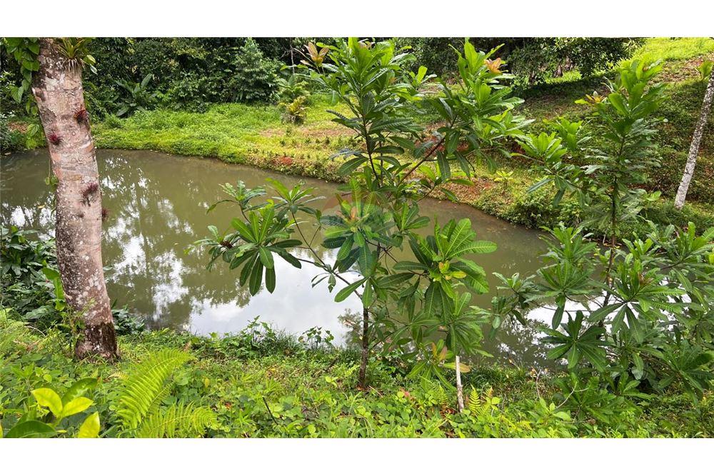 Commercial - Land - Bijagual, Puntarenas, Costa Rica - Caribbean & Central Ameri - 3 - 90168042-14