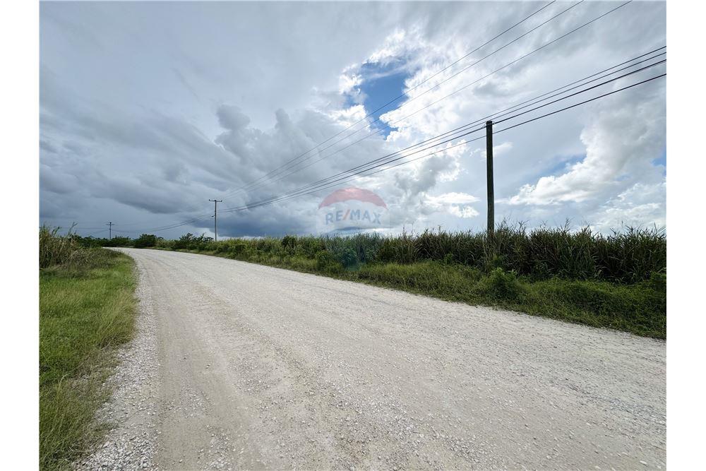 Commercial - Land - Libertad, Corozal District, Belize - Caribbean & Central Ameri - 6 - 901411007-98