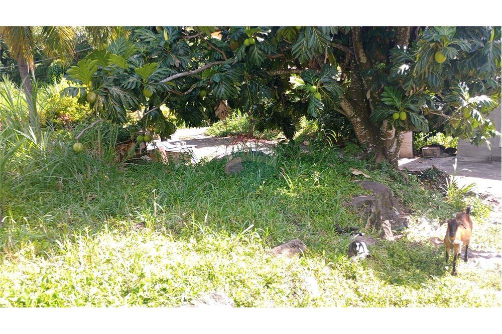 商业 - 土地 - Layou, St Vincent, St Vincent and the Grenadines - Caribbean & Central Ameri - 5 - 90109008-5