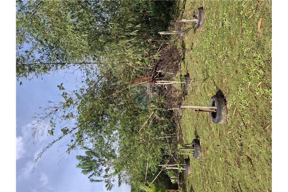 Grondstuk - Te Koop - Sangre Chiquita, Saint Andrew, Trinidad and Tobago - 2 - 90155092-77