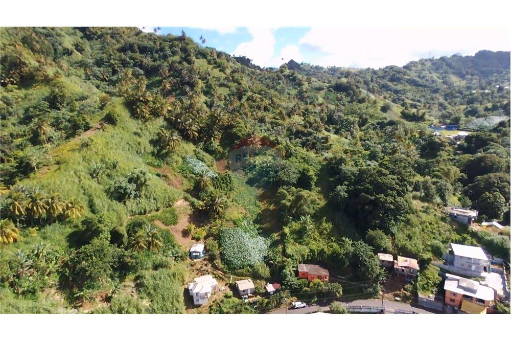 商业 - 土地 - Lowmans Windward, St Vincent, St Vincent and the Grenadines - Caribbean & Central Ameri - 8 - 90109001-320
