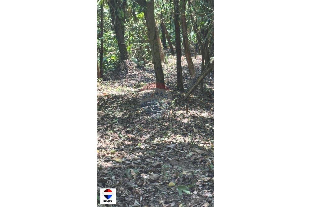 Comercial - Terrenos - Tarcoles - Quebrada Ganado, Puntarenas- Garabito, Costa Rica - Caribbean & Central Ameri - 21 - 90168030-59