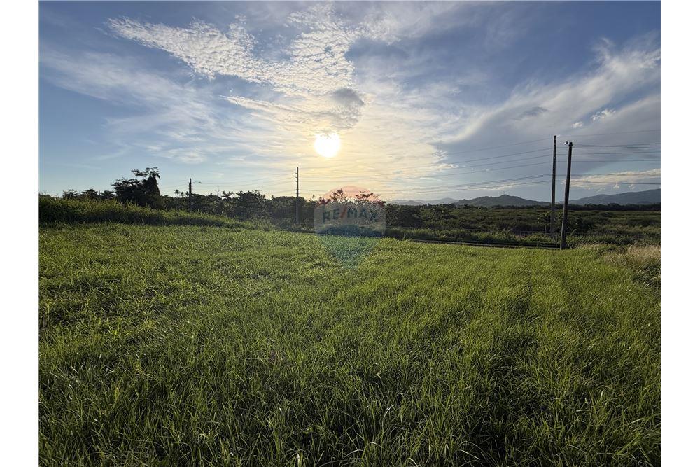 Villa - For Sale - Mans Playa Hucares, Naguabo, Puerto Rico - 4 - 90156038-95