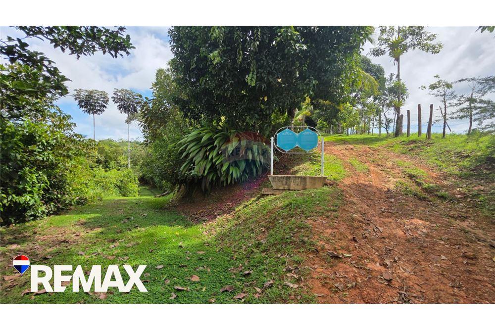 商业 - 土地 - San José, San José, 哥斯达黎加 - Caribbean & Central Ameri - 5 - 90168013-174