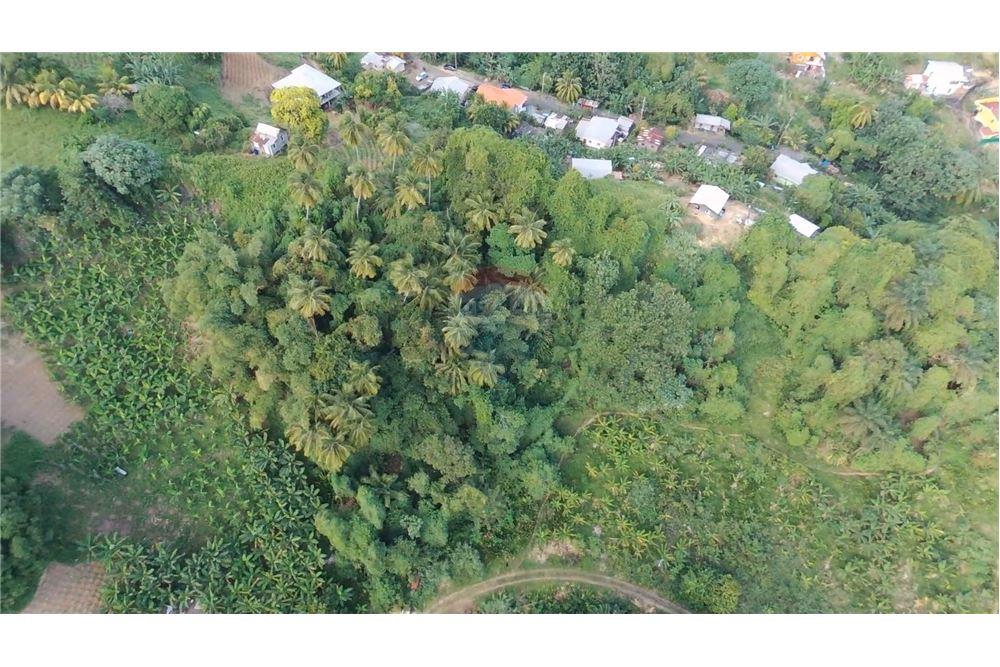 Comercial - Terrenos - Adelphi, St Vincent, St Vincent and the Grenadines - Caribbean & Central Ameri - 4 - 90109004-59