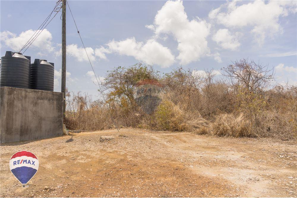 Land - For Sale - Lance aux Epines, Saint George, Grenada - 7 - 902581001-102