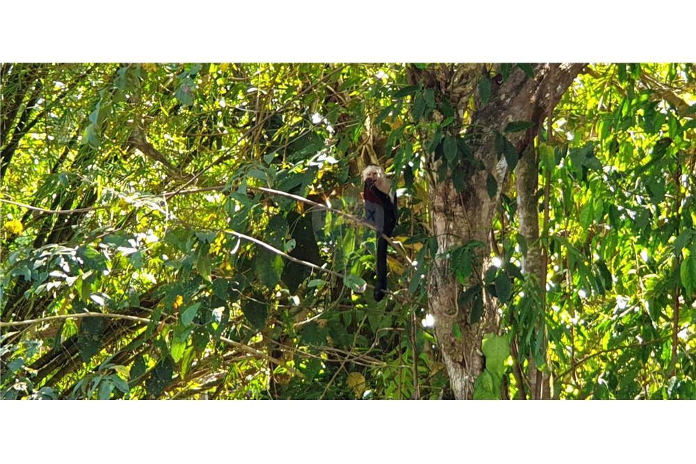 住宅 - 别墅 - Parrita - Esterillos, Puntarenas - Parrita, 哥斯达黎加 - Caribbean & Central Ameri - 22 - 90168024-60