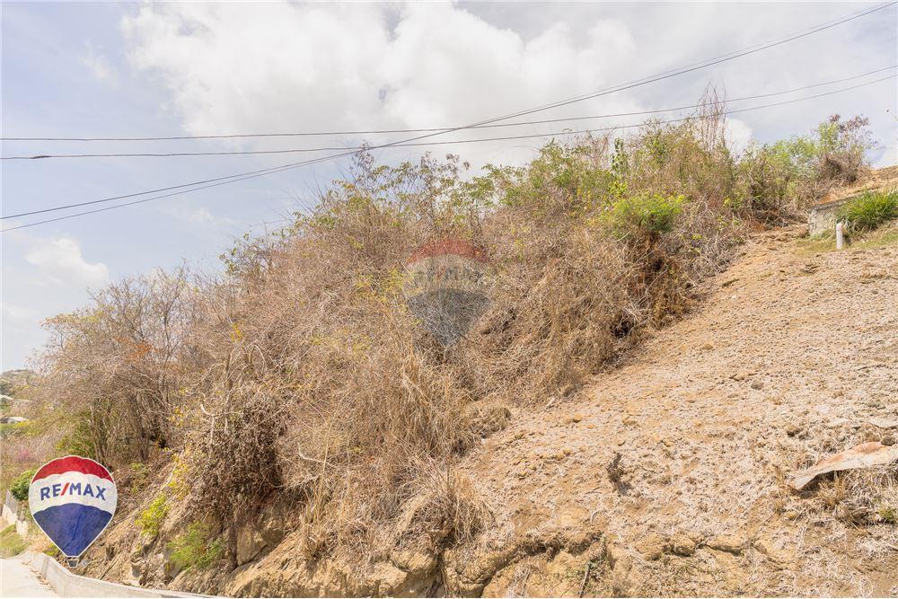 Land - For Sale - Lance aux Epines, Saint George, Grenada - 4 - 902581001-102